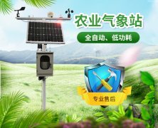 山東地區(qū)無公害葡萄種植需要什么條件？