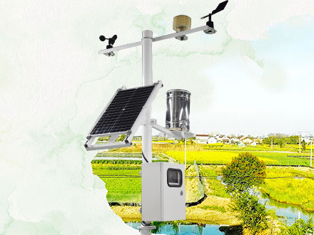 多要素氣象站：油柑種植需要什么樣的氣候條件？